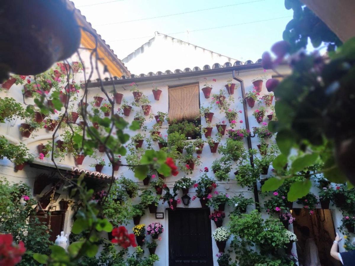 El Capricho De San Fernando, Consigna Gratis Y Parking A 200Mts Daire Cordoba Dış mekan fotoğraf