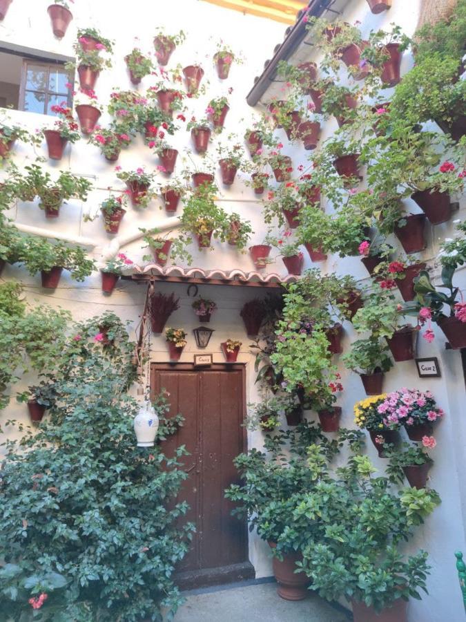 El Capricho De San Fernando, Consigna Gratis Y Parking A 200Mts Daire Cordoba Dış mekan fotoğraf