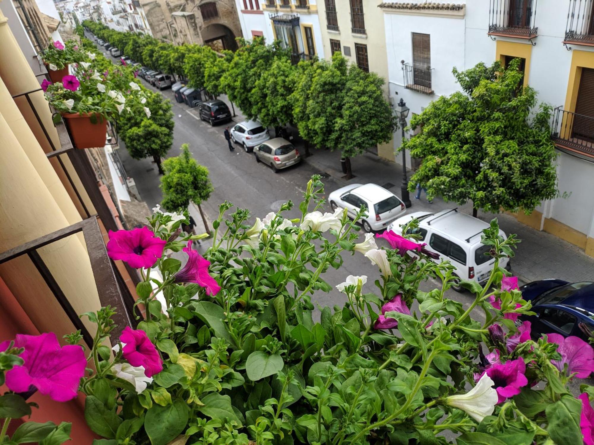 El Capricho De San Fernando, Consigna Gratis Y Parking A 200Mts Daire Cordoba Dış mekan fotoğraf