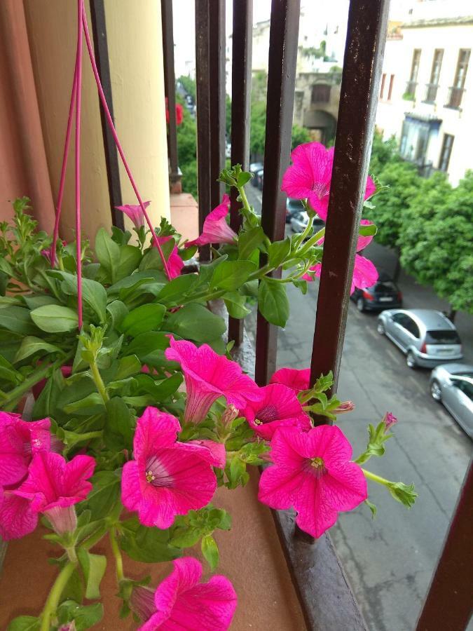 El Capricho De San Fernando, Consigna Gratis Y Parking A 200Mts Daire Cordoba Dış mekan fotoğraf